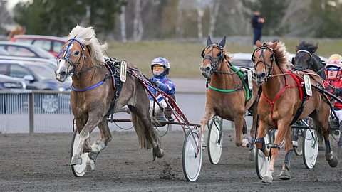 Tuulen Viljo rattaillaan Olli Koivunen