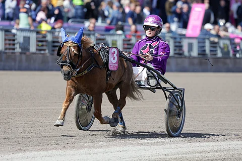 Pikku Humanteri rattaillaan Meja Olsson