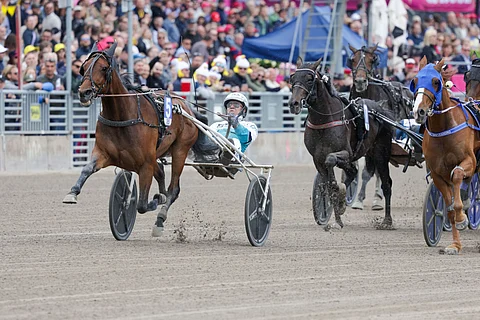 Sweden Cup