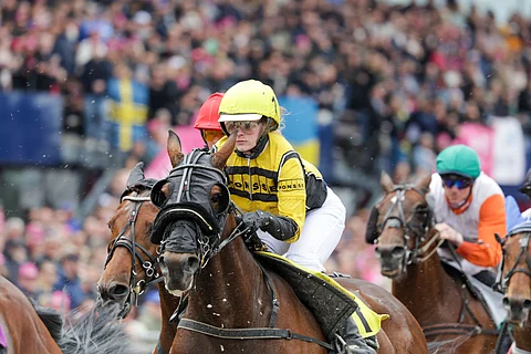Ravit monte