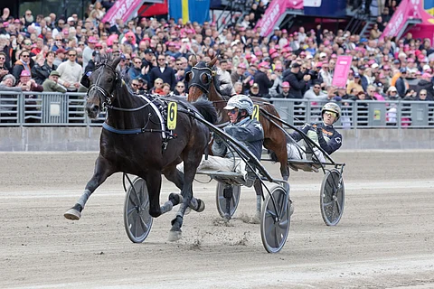 Ravit Solvalla