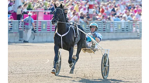 Holcombe Zet on Daniel Redénin tallin jokeri.