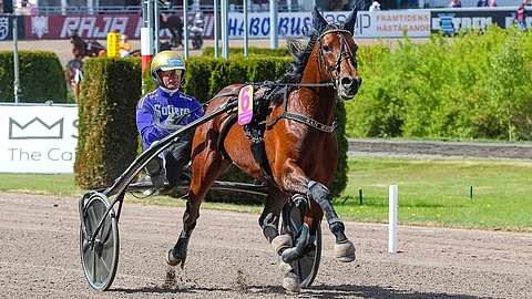 San Moteur rattaillaan Björn Goop