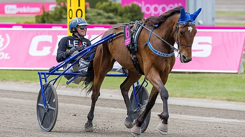 Ravit Kalmar