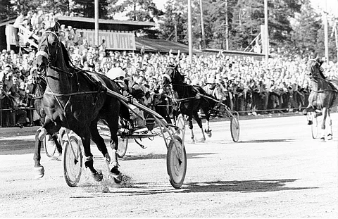 Tästä se alkoi 50 vuotta sitten. R.A.C ja Martti Keskinen ovat varmat voittajat ennen ensimmäisen kaarteen laukkansa komeasti paikannutta Meadow Trishia. Per Bodal nappaa taustalla kolmosrahat.