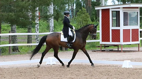 Anniina Kolu