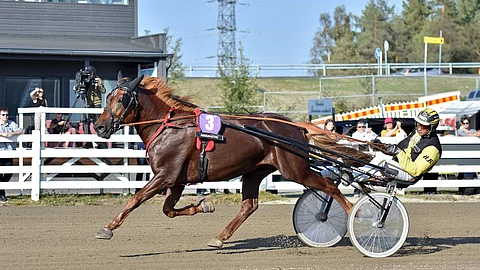 Caru ja Henri Bollström 