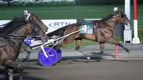 Ravit USA