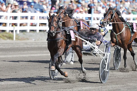 Ravit Norja