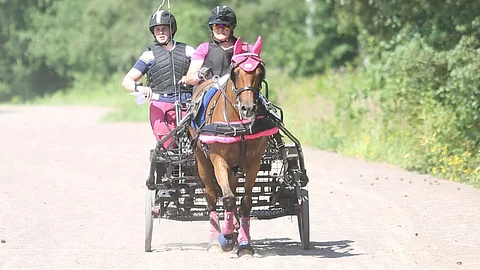 Raisa Takkinen, Oona Suhonen ja Kooihuster Harro. 