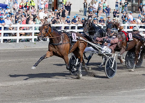Ravit Ruotsi