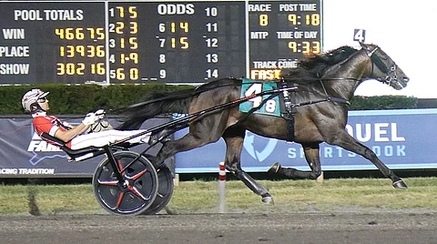 Ravit USA