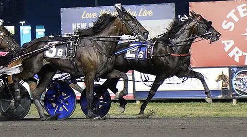 Ravit USA