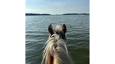 Kaisa Toivonen ratsastaa Villieläimellä paljon merenrannassa.