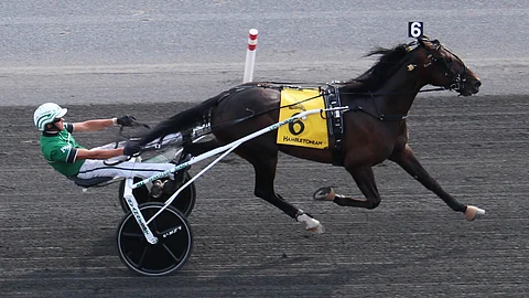 Hambletonian