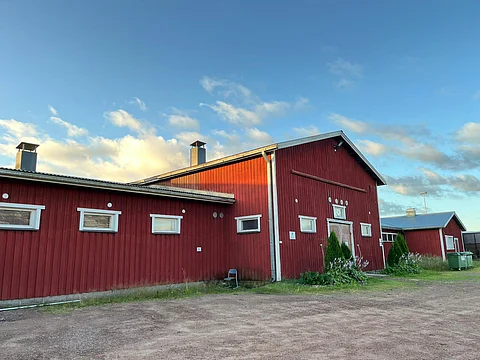 Niinisalon Ratsastajien talli sijaitsee Taulunkylässä. 