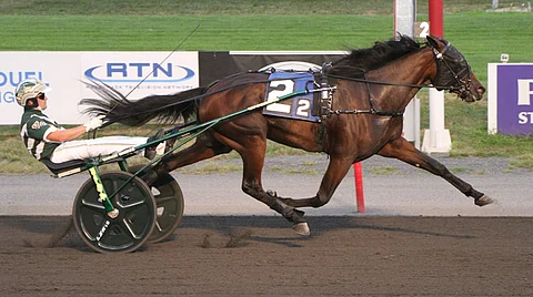 Ravit USA