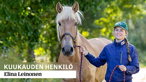 4-vuotias suomenhevosruuna Kosimo kuuluu Elina Leinosen suosikkeihin.
