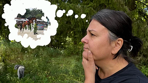 Seuraavaa askelta on pohdittu mustikkametsässä. 