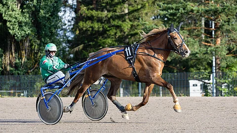 Henkinen