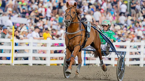 V.G. Voitto, Ari Moilanen