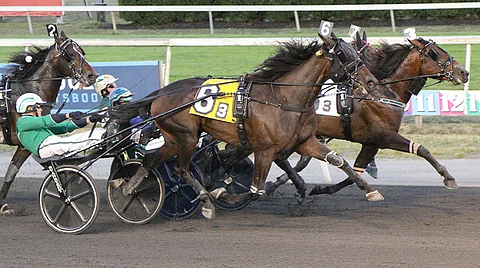 Oneajetplane Meadowlands