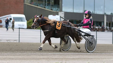 A-ponien Derbyssä vauhdissa Lilli Puttinen ja Isla Ruhkala.