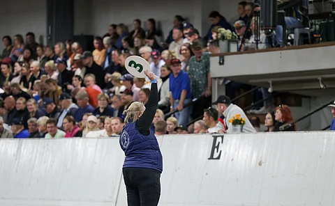 Huutokauppaa ei jatkossa seurata maneesissa, vaan ravintolassa.