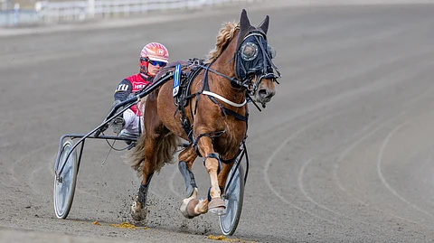 Kalistaja Kalle, Santtu Raitala