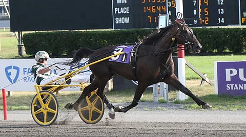 Ravit USA