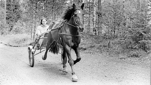 Tuulenpuuskan kanssa harjoituslenkillä vuonna 1993.
