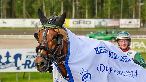 Metsärinteen Pommin edellinen kilpailu on Derbyn finaali, jossa se sijoittui kakkoseksi.