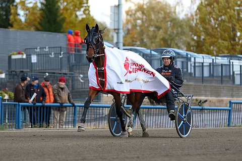Ravit Ruotsi