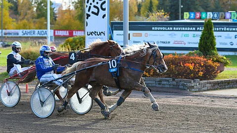 Teppana ja Jarmo Saarela