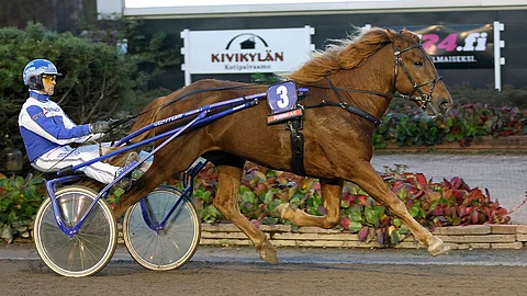 Siirin Toive on Satakunta-ajon selvästi kokemattomin osallistuja, sillä on takana vain kolme starttia.