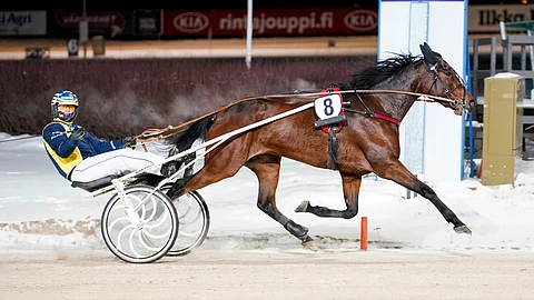 Al's Boozy Suzy, Victor Björkroth