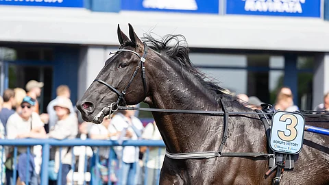 Kymi Grand Prix