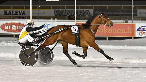 Ilos Sansibar, Iikka Nurmonen