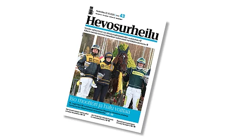Massimo Hoist komeilee Hevosurheilun kansikuvahevosena.