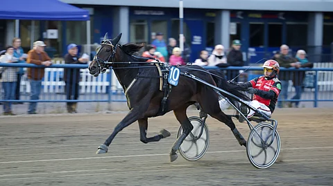 Like My Diamond on vahvoilla tiistaina Mikkelin Toto5-pelin päätöskohteessa.