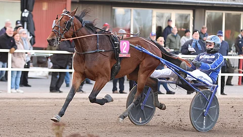 Zorian, Niko Riekkinen