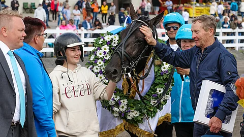 Aikuisena huipputasolla kilpailevat hevoset ovat usein menestyneet jo nuorina. Kriteriumin voittanut Run For Royalty voitti vanhempana esimerkiksi St Michelin.