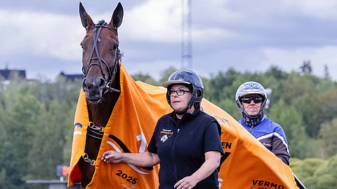 Bushmills, Ville Tonttila, Anu Helin