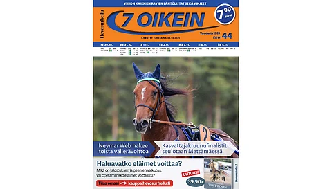 7 oikein -lehdessä julkaistaan Suomen totoravien käsiohjelmasivut vihjeineen ja tallikommentteineen torstaista seuraavaan keskiviikkoon sekä Ruotsin pääpelien käsiohjelmasivut torstaista maanantaihin.