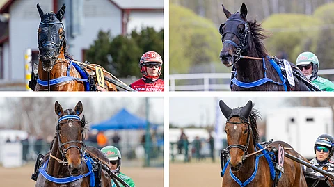 Main Stage, Combat Fighter, Dozen Of Oysters ja Goodwin Zet ovat lähteneet perjantaina 7. marraskuuta kohti Ranskaa.