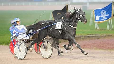 The Lost Battalion järjesti heti Toto75-kierroksen alkuun jättiyllätyksen suurkilpailussa.