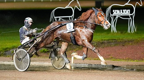 Unelmavävy on aloittanut uransa nimensä mukaisesti.