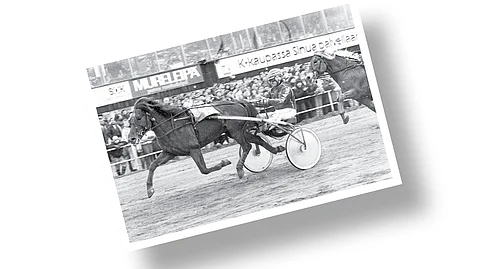 Kuka on kuvan parivaljakko?