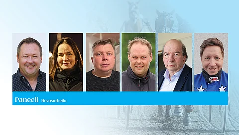 Hippoksen hallitusehdokkaat 2025