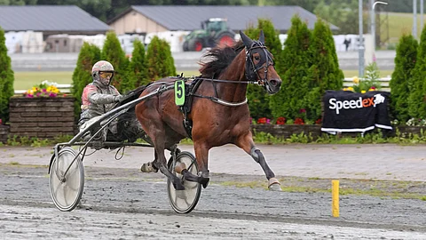 Stop The Press, Tapio Perttunen